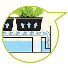 Check spelling or type a new query. Garland Grow Light Garden Black Micro Grunhaus Ag