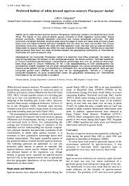 Image result for Tragus koelerioides