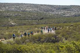 Terroir (film) and The Desplabado Tour