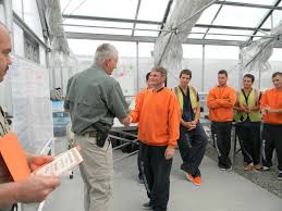 Journal Of The Nacaa Genesis Of The Salt Lake County Jail Horticulture Program 5 Years And Growing