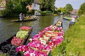 Marche Aux Fleurs Amiens Maraicher Faire Un Potager Saint Leu