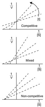 mcat biochemistry review summary gold standard mcat prep