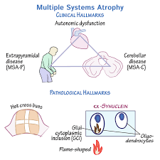 Pin By Draw It To Know It Medical On Https Drawittoknowit Com Medical School Studying Nursing Notes Pathology