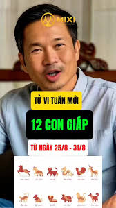 3 NGÀY đẹp nhất trong tháng 11 âm lịch!!! ---------&---&--------- #mixi  #phongthuymixi #phongthuy #ngaydep #thang11amlich