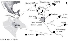 R&eacute;sultat de recherche d'images pour "oxchuc chiapas"