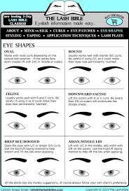 The Lash Bible Eyelash Information Made Easy Eyelash Extensions Eyelashes Eyelash Extentions