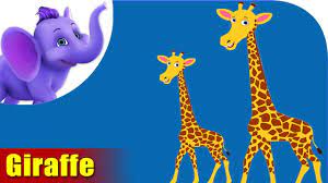 Animal Rhymes In Marathi Archives Appu Series