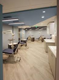 Green Curve Studio Modern Interior Design Firm In Portland Oregon Healthcare Interior Design Modern Interior Design Interior Design Firms