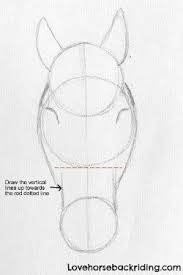 In This Drawing Of A Horse Tutorial The Next Step Is The Outline Easy Cartoon Horse Sketch Ins Horse Head Drawing Horse Drawing Tutorial Horse Art Drawing