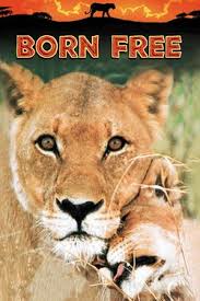 Maybe you would like to learn more about one of these? Animals Are Beautiful People Full Movie Movies Anywhere