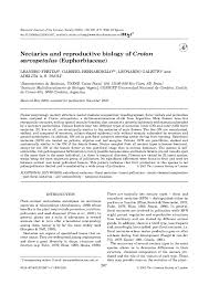 É um diagrama dos relacionamentos entre salas, espaços e outros aspectos físicos em um nível de uma estrutura. Pdf Nectaries And Reproductive Biology Of Croton Sarcopetalus Euphorbiaceae Leandro Freitas Academia Edu