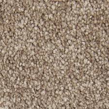 Petproof Carpet Sample Playful Moments I Solid Color Salutation Texture 8 In X 8 In Mo 372817 The Home Depot Carpet Samples Diy Carpet Cleaner Polypropylene Carpet