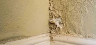 Maybe you would like to learn more about one of these? Waterproofing Your Walls All You Need To Know The Urban Guide