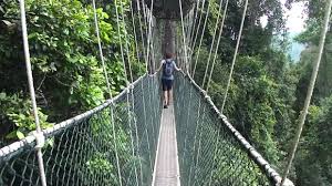 See all things to do. Safety Check Closes Canopy Walk Ttr Weekly