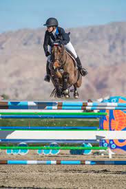 Horsemanship Between the Wins