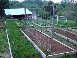 Gardendesk Building A Trellis For The Cucumbers Building A Trellis Building A Raised Garden Backyard Garden