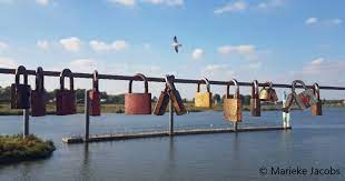Maybe you would like to learn more about one of these? Venlo Nieuws Home Facebook