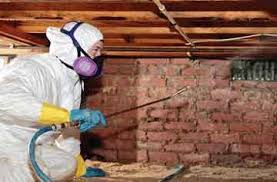Steps to remove mold from concrete basement walls step 1: Mold Remediation And Removal In Charlotte Nc Sedona Waterproofing