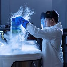 Image result for Hionanthera