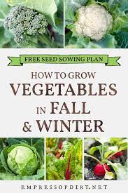 Use This Sowing Plan For Year Round Growing In Cold Climates Survival Gardening Fall Vegetable Garden Gardening For Beginners