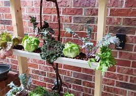 Some say that hydroponic gardening is the future of gardening and farming. Diy Hydroponics Going Soil Less At Home And Abroad The Garden Professors