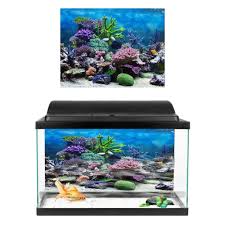 We did not find results for: Multi Choice Colors Sizes Aquarium And Fish Tank Background Poster Sticker Decorations Pet Supplies