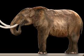 How Much Do You Really Know About Mastodons Prehistoric Animals Animals Extinction