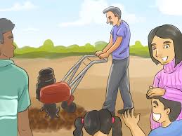 Check with this restaurant for current pricing and menu information. How To Plan A Family Garden With Pictures Wikihow