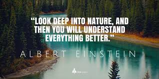 Tree Canada On Twitter Happy Birthday To Albert Einstein Scientist Extraordinaire And Profound Lover Of Nature Birthday wishes for sister images, belated, cousin, best, quotes, messages, saying greetings birthday wishes for sister images free download, birthday. happy birthday to albert einstein