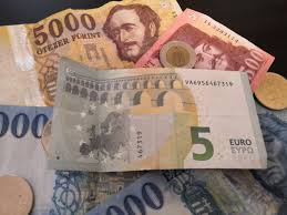 Euro, bölgenin dalgalanan döviz kurlarını ve döviz maliyetlerini ortadan euro'ya yapılan bir başka eleştiri, değerinin alman ekonomisine yakın bir şekilde hizalanmış olması. Will Historic Low Forint Lead To The Introduction Of The Euro Hungary Today