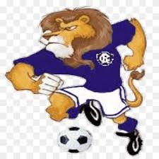 In 2005, remo had a special golden kit to celebrate its 100th anniversary. Clube Remo Campeonato Brasileiro Serie A Vilhena Esporte Clube Campeonato Brasileiro Serie D Mascota Futbol Mamifero Gato Como Mamifero Carnivoran Png Pngwing