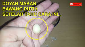 Mengonsumsi bawang putih matang adalah cara makan bawang putih yang paling lazim. Cara Memakan Bawang Putih Tunggal Agar Lebih Enak Dan Tidak Terasa Panas Youtube