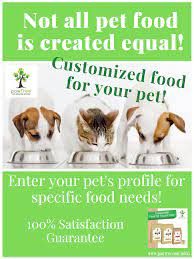 Pet Nutrition Done Right Pawtree Dog Allergies Holistic Dog