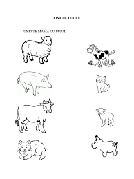 Intuitive and seamless, calorie mama helps you understand your food and nutrition. Uneste Mama Cu Puiul