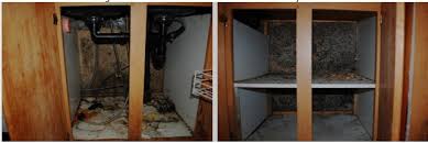 If you start noticing an unpleasant smell in the kitchen you might start looking for mold. Kitchen Mold How To Prevent And Get Rid Of Mold In Your Kitchen