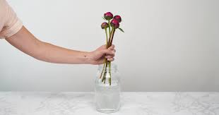 Check spelling or type a new query. Arrange Flowers In A Vase Like A Pro Bouqs Blog