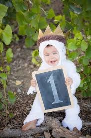 Simple Birthday Party Ideas For 1 Year Old Boy Where The Wild Things Are First Birthday Child Photography One Year Old Photo Session Ideas Www Dani 1st Boy Birthday Wild One Birthday Party First Birthdays