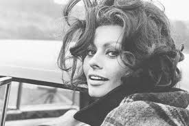 ➳ celebrating sophia loren (i am not sophia loren and there is no affiliation!) no infringement intended. Rare And Magnificent Photos Of Sophia Loren Sophia Loren Photo Sophia Loren Sofia Loren