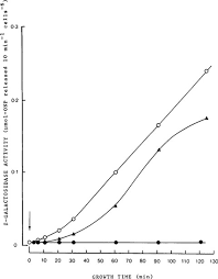 Complete The Table. For Each Of The Following Diploid Genotypes, Determine  (I) Whether B-Galactosidase Can Be Made; (Ii) Whether Synthesis Of B-Galactosidase  Is Inducible (I) Or Constitutive (C); And (Iii) Whether Or