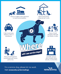 If you do not have access to a doctor or. Service Dog Act Government Of Nova Scotia Canada