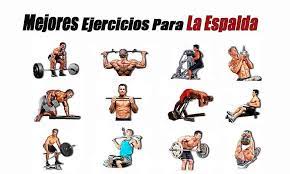 Adicionalmente, la espalda es uno de las zonas del cuerpo que más fibras. Los 5 Mejores Ejercicios Para La Espalda Rutinas De Entrenamiento
