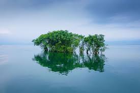 8k 4k hd wallpaper 8k wallpaper hd ultra hd 4k wallpaper super amoled ultra hd 4k amoled 4k anime. Bangladesh 1080p 2k 4k 5k Hd Wallpapers Free Download Wallpaper Flare