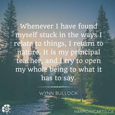 We Are Wildness On Instagram Whenever I Have Found Myself Stuck In The Ways I Relate To Things I Return To Nat Nature Quotes Quotes That Describe Me Nature