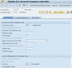 sap fi g l account segments sachin h patil