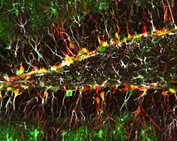 Video sex hadir gREAT BJ, and overall amazing sex!!!