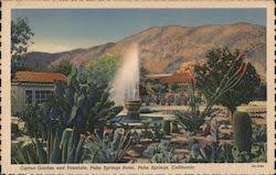 Beavertail is very similar to the prickley pear cactus, and. Cactus Desert Plants Vintage Postcards Images