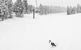 30 Pics Showing How Canadians Are Dealing With An Unprecedented Blizzard |  Bored Panda