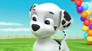 Marshall Without His Collar On Paw Patrol Pups Marshall Paw Patrol Paw Patrol