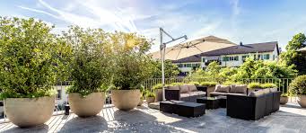 Abwechslungsreiches Saftiges Grun Auf Grossflachiger Terrassengestaltung Mit Einladender Lounge Schmalen Und Ru Terrassengestaltung Gartengestaltung Terrasse
