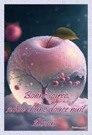 bonsoir bonne soiree